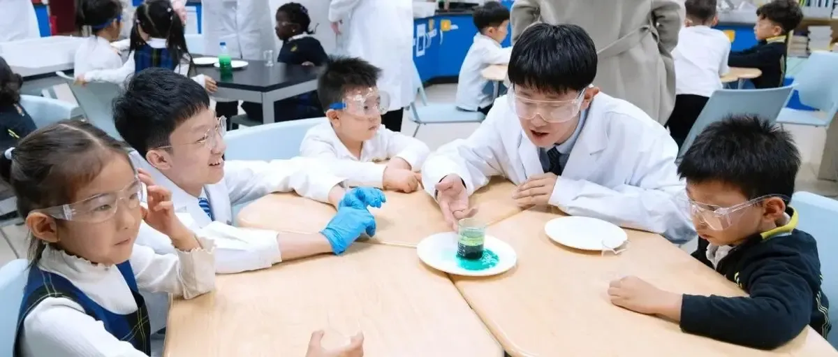 Nest STEAM Week - Senior Pupil-Led Learning Activity